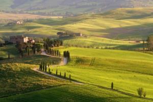 法甲联赛十大排名榜最新，竞争激烈，冠军争夺白热化法甲联赛十大排名榜最新